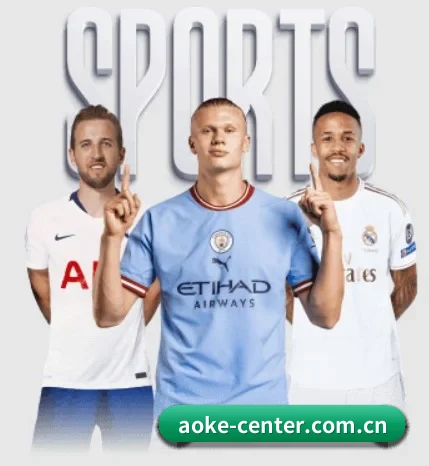 aoke-center.com.cn围绕看球场景设计的核心服务 - 多运动项目内容板块