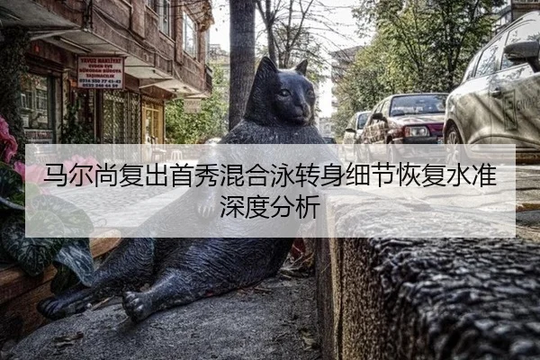 马尔尚复出首秀混合泳转身细节恢复水准深度分析